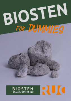 Biosten for Dummies