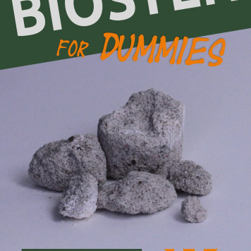 Biosten for Dummies