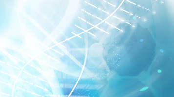Internettets DNA